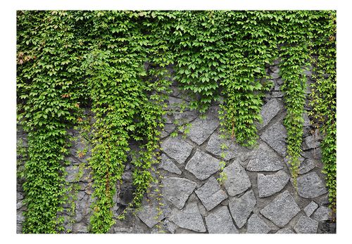 Fototapeta - Zielony mur 400x280 na Arena.pl