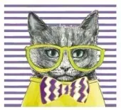 Karnet Kw Kot Seledyn