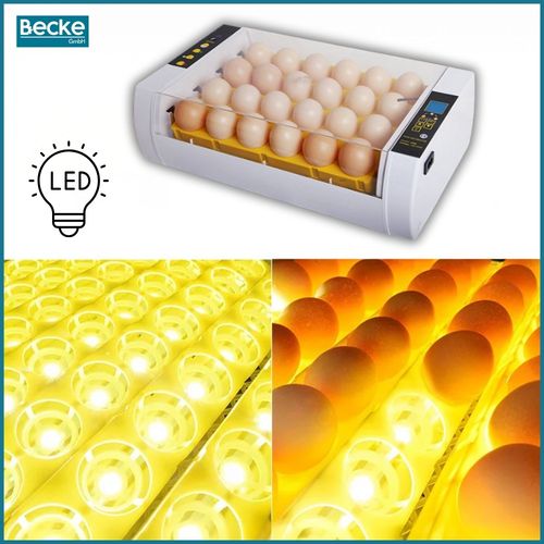 Inkubator klujnik wylęgarnia automatyczna cyfrowy owoskop obracanie jaj 24 na Arena.pl