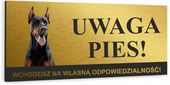 Tabliczka UWAGA ZŁY PIES DOBERMAN aluminiowa