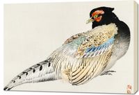 Obraz 100x70cm Peregrine Falcon, Kōno Bairei Japoński Vintage do Salonu