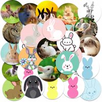 NAKLEJKI NA ZESZYT NALEPKA Z POSTACIAMI KÓŁKO KRÓLIK BUNNY WZORY 23EL