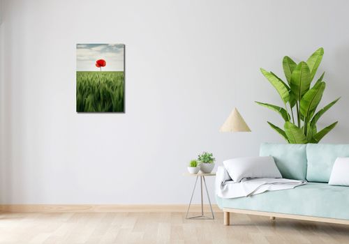 Obraz 40x60cm Samotny Mak na Polu na Arena.pl