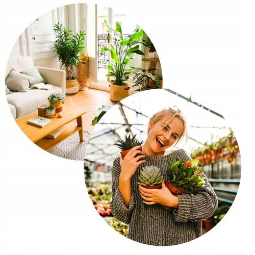 Podłoże BIGOS Lekka Ziemia do kwiatów roślin zielonych 5L Mieszanka na Arena.pl