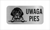 GRAWER Tabliczka nierdzewna laminat 20x10 UWAGA PIES English Pointer