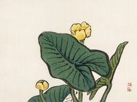 Plakat 20x15cm Water-Lily, Kōno Bairei Japoński Vintage do Salonu