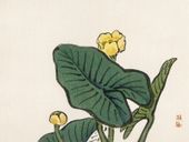 Plakat 20x15cm Water-Lily, Kōno Bairei Japoński Vintage do Salonu