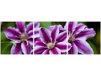 product-compare-58672249