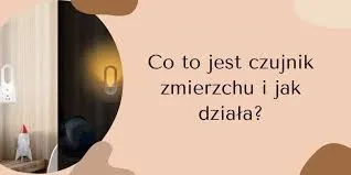 Żarówka LED z czujnikiem zmierzchu i ruchu gwint E27 40W barwa: biały zimny zdjęcie 4