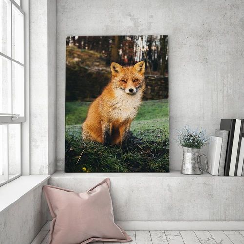 Deco Panel, Lis w lesie 80x120 na Arena.pl