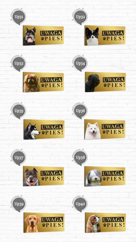 Tabliczka Aluminiowa Ostrzegawcza UWAGA ZŁY PIES na Arena.pl