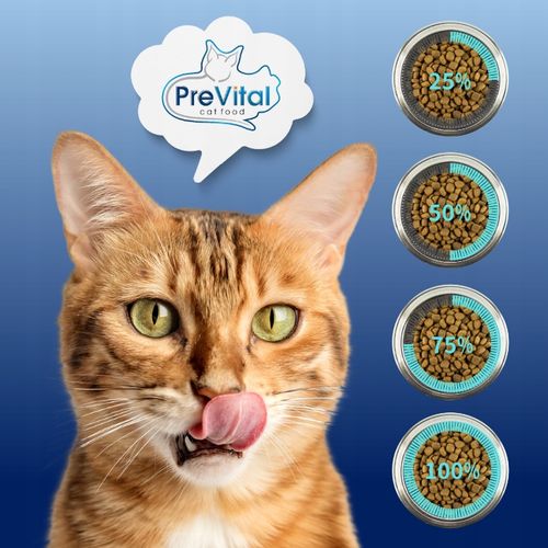 MOKRA KARMA DLA KOTA MEGA BOX MIX SMAKÓW 24X100G SASZETKI DLA KOTA PREVITAL na Arena.pl