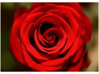 product-compare-58645751