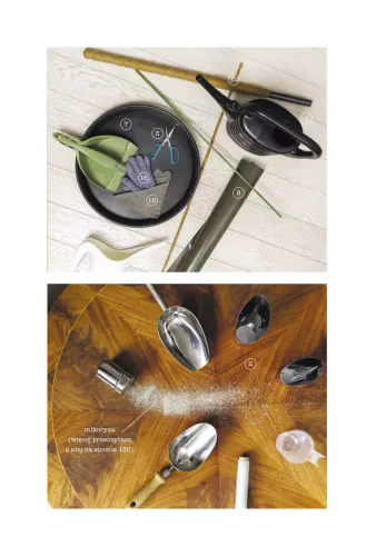 Roślinne Historie na Arena.pl