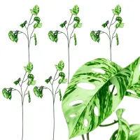 5x monstera sztuczna gałązka 78cm sztuczne kwiaty ozdobna roślina xl 5szt