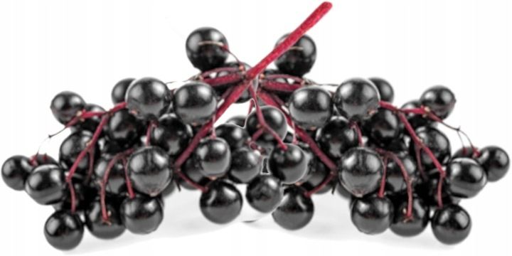 Sok z czarnego bzu 100% OWOCÓW Tłoczony NFC 1,5L zdjęcie 2