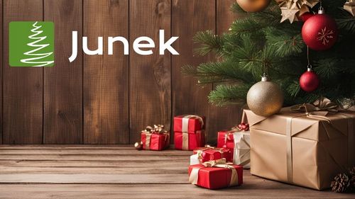 FIGURY DO SZOPKI BOŻONARODZENIOWEJ 10 CM KOMPLET 10 FIGUR + GRATIS! na Arena.pl