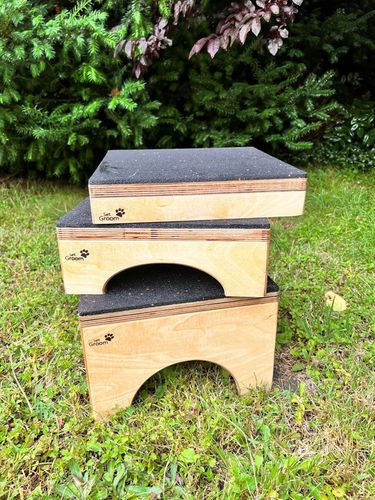 PODEST DLA PSA DO SOCJALIZACJI OBEDIENCE DOG 30x6 na Arena.pl