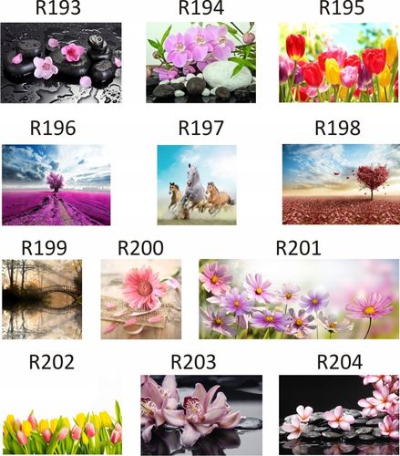 FOTOTAPETA rosliny KWIATY róże DUŻY WYBÓR WZORÓW na Arena.pl