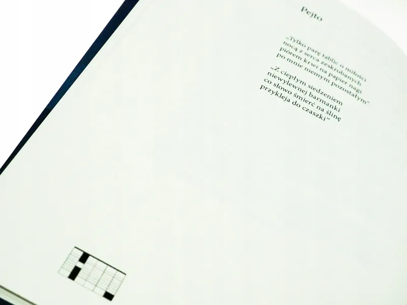 Tracking przesyłek poleconych zdjęcie 11