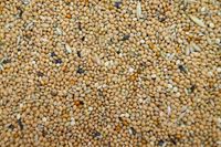 Karma dla małych papug, falistych 10kg, Gold Wings