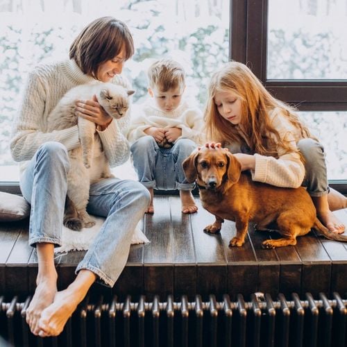 Folia Ochronna Dla Psów Kotów Drapak Gruba Samoprzylepna + Zestaw 152x50cm na Arena.pl