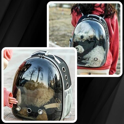 PLECAK DLA KOTA PSA TRANSPORTER PRZEZROCZYSTY WENTYLOWANY NA PSA NA KOTA na Arena.pl