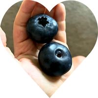 product-compare-61668143