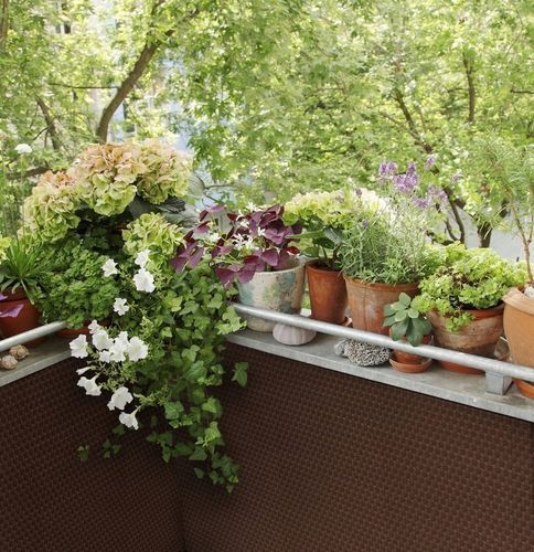 Osłona balkonowa technorattan 1300 g/m2 h 100 RD02 na Arena.pl