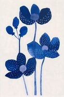 Plakat 40x60cm Nocne Kwiaty