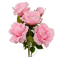 product-compare-61190412