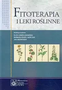 Fitoterapia i leki roślinne zdjęcie 1