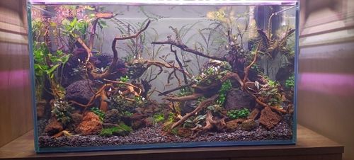 LAWA LAWA WULKANICZNA 2-8 mm 25 kg ŻWIREK AKWARIUM NA DNO na Arena.pl