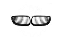 Grill, nerki BMW 3 E90 2007 2008 2009 2010 2011