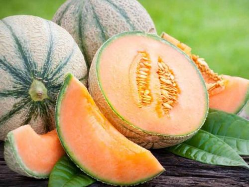 Nasiona Melon cukrowy Charentaise 3g na Arena.pl