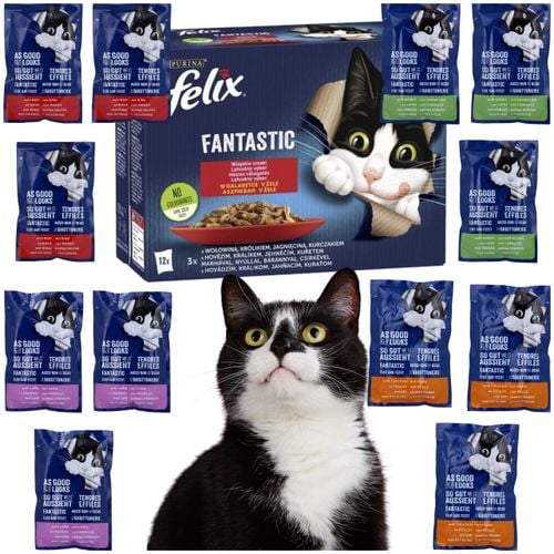 karma mokra dla kota felix fantastic wiejskie smaki mix z mięsem 12 x 85g na Arena.pl