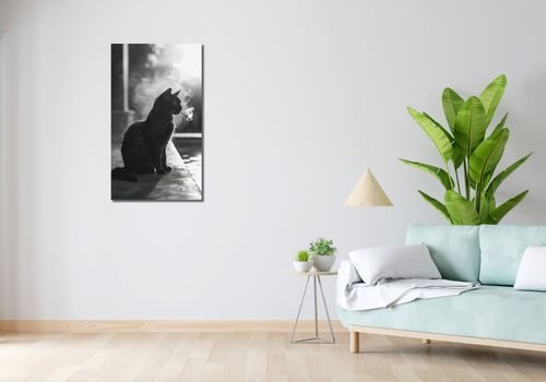 Obraz 50x90cm Kocia Przerwa na Arena.pl