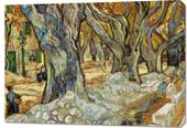 Obraz 100x70cm The Large Plane Trees, Van Gogh Vintage