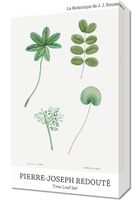 Obraz 30x50cm Design Tree Leaf Set, Redoute Vintage do Salonu