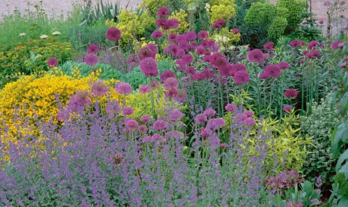 Suchy Ogród. Lekcje Z Ogrodu Żwirowego Beth Chatto na Arena.pl