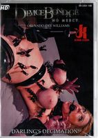 KINK DEVICE BONDAGE ONA JEST PRZYSZPILONA