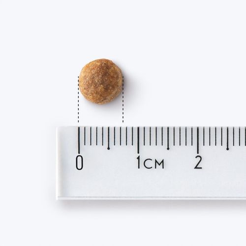 John Dog Good Form 3kg Sucha Karma Dla Szczeniąt Cielęcina Z Jagnięciną na Arena.pl