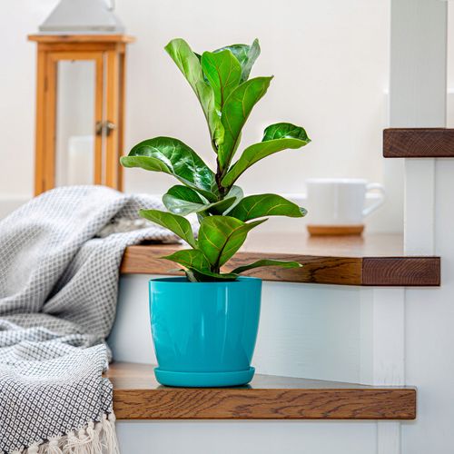 DONICZKA OSŁONKA Z PODSTAWKĄ DONICA 14cm KOLORY na Arena.pl