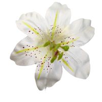 product-compare-61190906