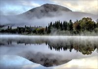 FOTOTAPETA Las we mgle widok góry 3D 300x210 FLIZ