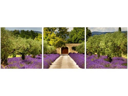 90X30CM DROGA PROWANSJI TRÓJ OBRAZ na Arena.pl