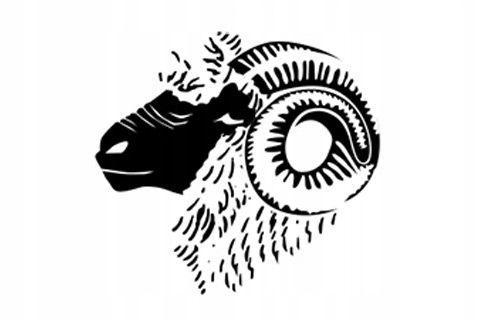 Czapka zimowa Brubeck Ranger Wool unisex Termoaktywna wełna merynosa na Arena.pl