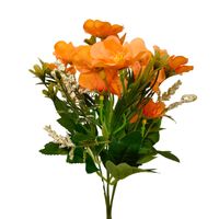 Bukiecik bławatek pomarańczowy