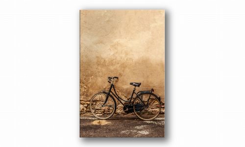 OBRAZ NA PŁÓTNIE 088 Retro rower 60x90cm na Arena.pl