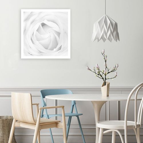 Obraz na płótnie - Canvas, Biała róża 4 40x40 na Arena.pl